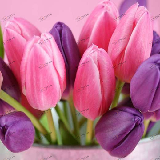 WP00146 Фотообои Verol Фотообои decoline 1х1 м