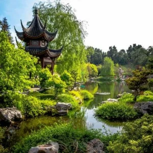 WP01650 Фотообои Verol Фотообои decoline 1х1 м