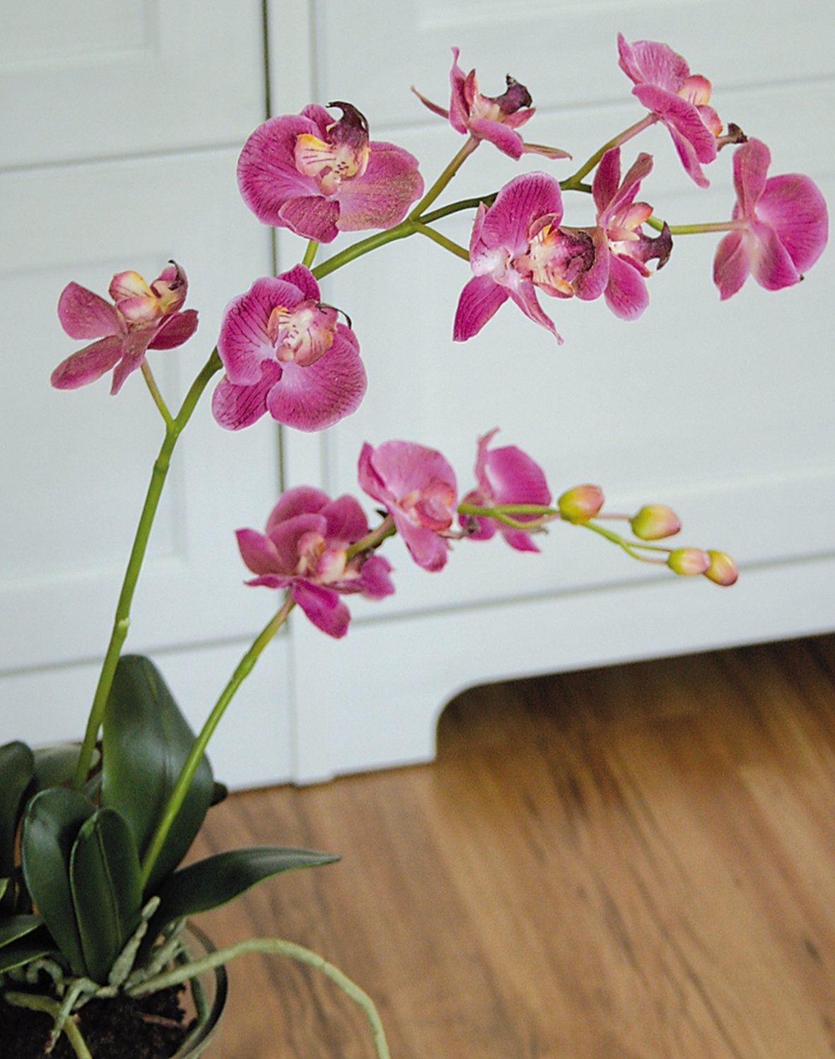 2579 515 a2 Пластиковая орхидея Phalaenopsis, ваза с водой, 80 см, real touch, розовая H-andreas  - Вид №5