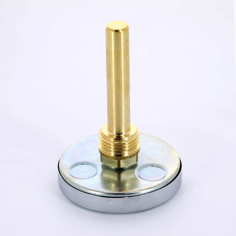 Термометр биметаллический F+R801 63 мм 120° WATTS с погружной гильзой 75 мм 10005809 - Вид №3