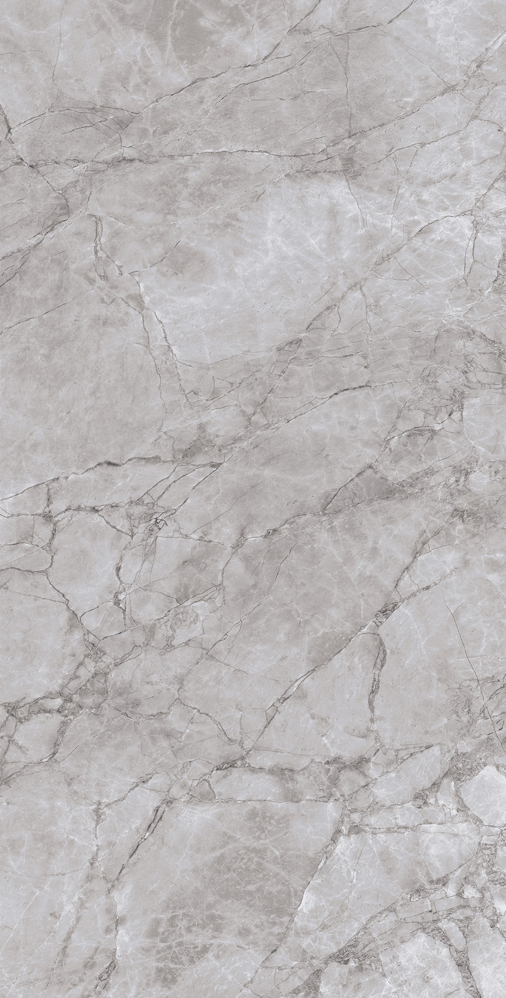 ARCTIC GREY LAPPATO ARCADIA CERAMICA CL4005-A - Вид №2