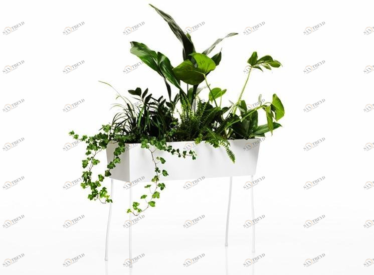 Offecct чашка O2asis sun-id-1373477