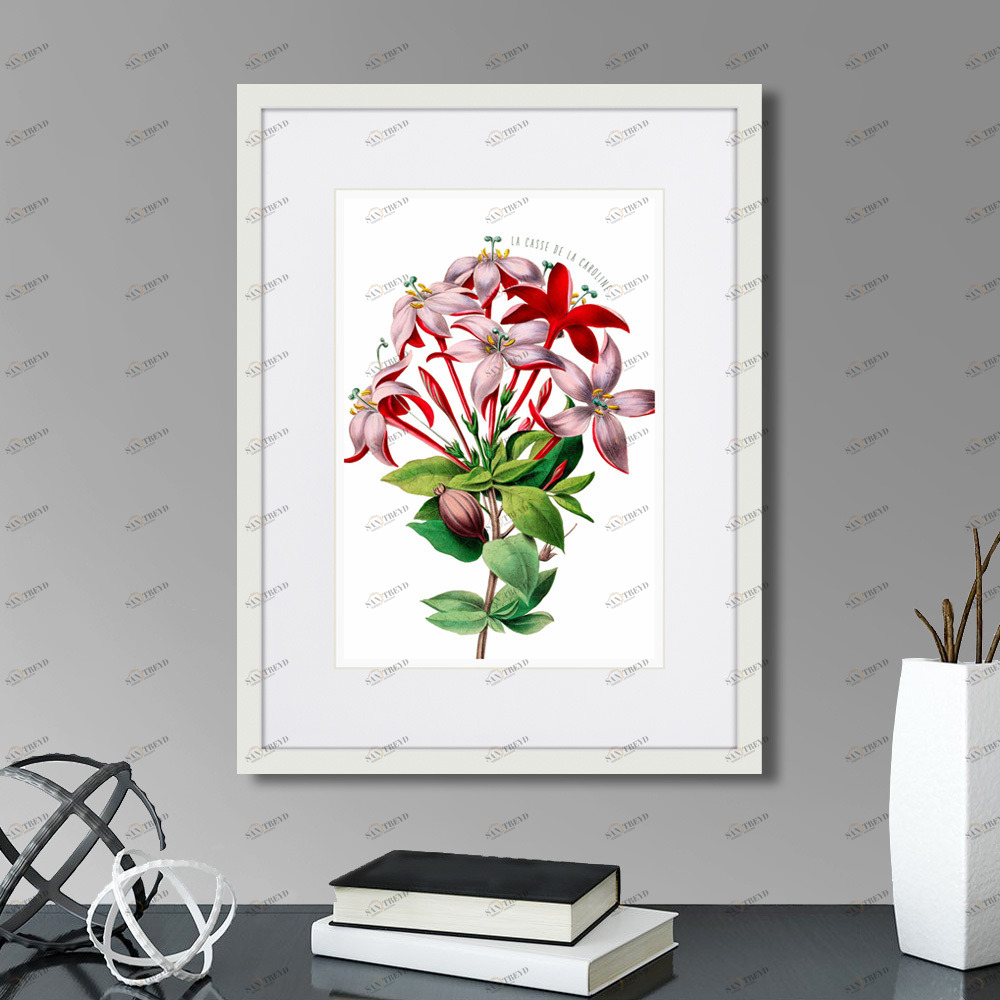 Картина в раме 32х42 см Caribian Flora Red And Pink Flower, 1740г. КАРТИНЫ В КВАРТИРУ  264450 Зеленый;красный;розовый;разноцветный 
