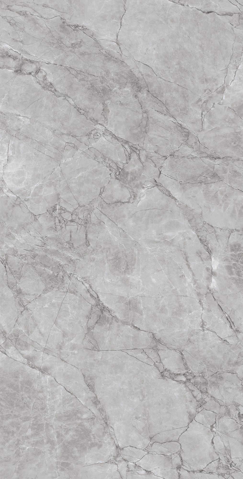 ARCTIC GREY ARCADIA CERAMICA CR4012-A - Вид №8