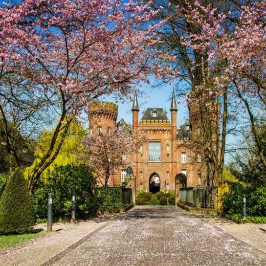 WP02284 Фотообои Verol Фотообои decoline 1х1 м