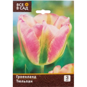 Тюльпан «Гроенланд» размер луковицы 10/11, 3 шт. 82665833 STLM-2022082