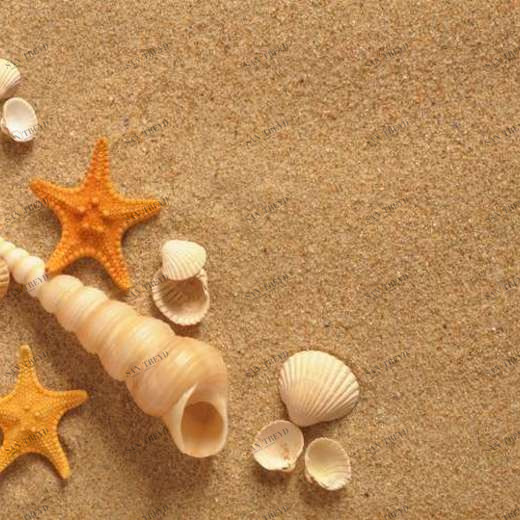 WP01456 Фотообои Verol Фотообои decoline 1х1 м