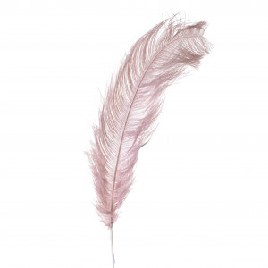 3870355.0041 ПЕРО ДЕКОРАТИВНОЕ TO4ROOMS