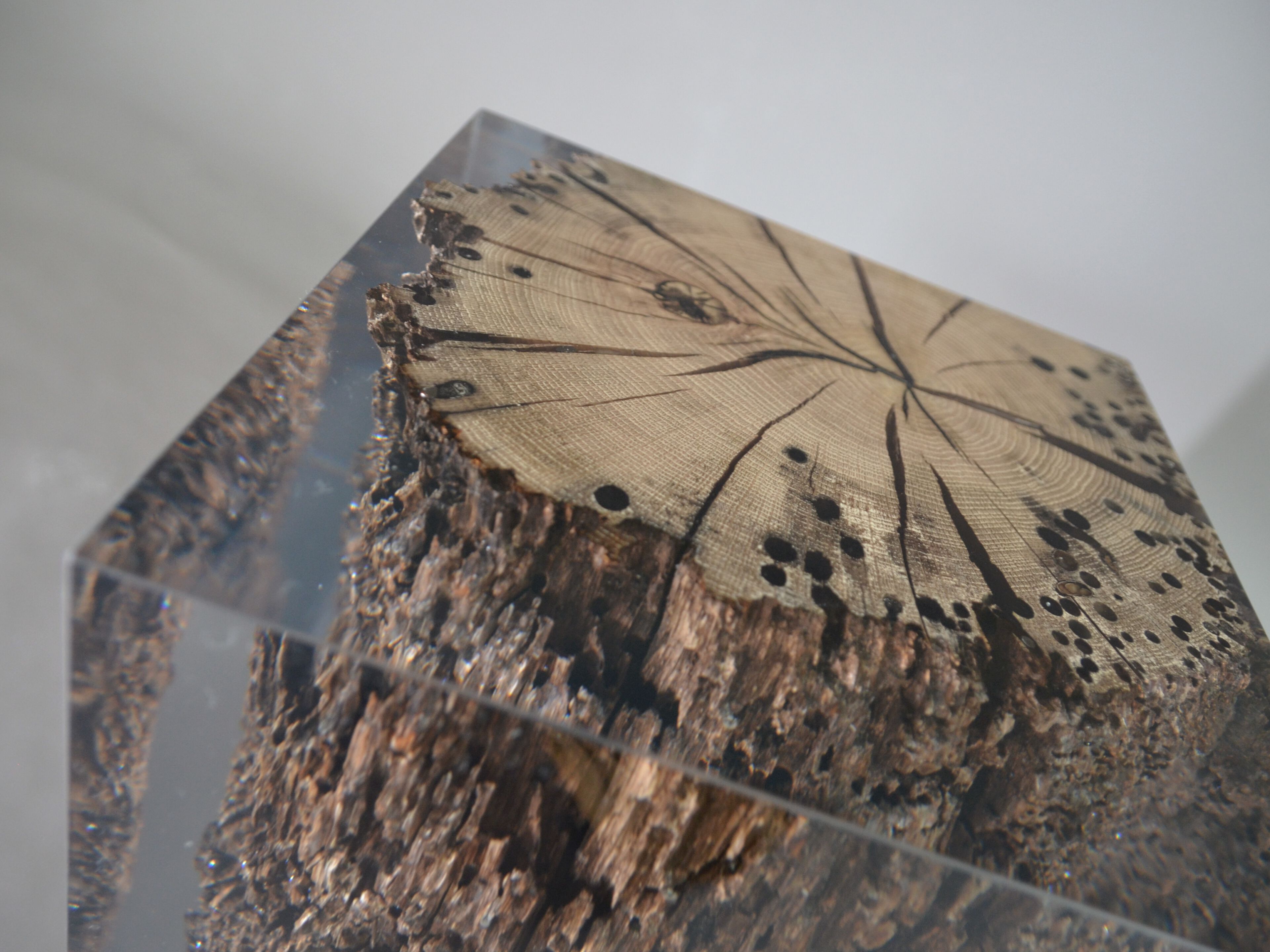 Табурет / журнальный столик из дуба и смолы alcarol Bricola ARCH-00047970 - Вид №8