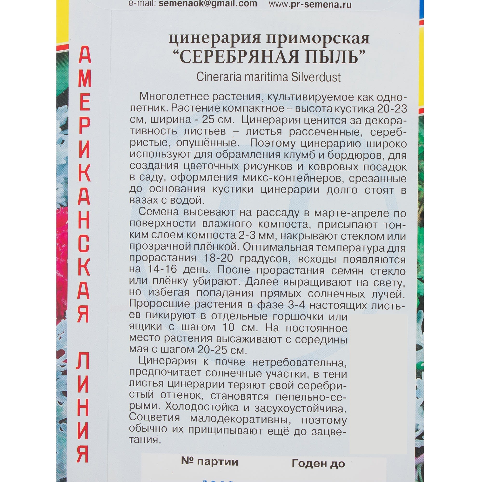81931619 Цинерария «Серебряная пыль» Santreyd  - Вид №2