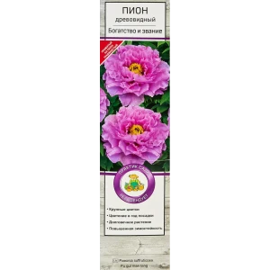 89353304 Пион древовидный Богатство и звание ø5 h35 см STLM-0953950