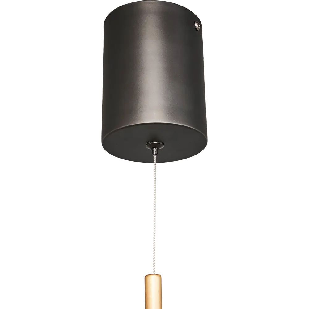 Светильник подвесной Vine L1177-1, 1 лампа, 2 м², цвет черный LAMPLANDIA STLM-2187923 - Вид №4