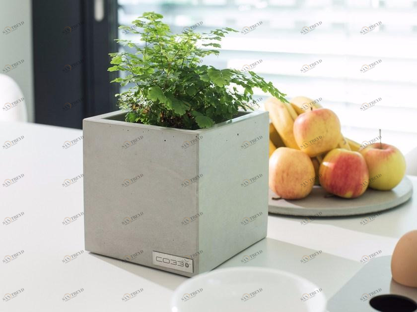 CO33 Квадратный бетонный горшок для растений Angulus B15