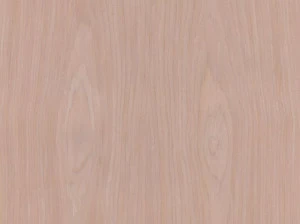 ALPI Внутренняя отделка деревом Designer collections by piero lissoni 18.87