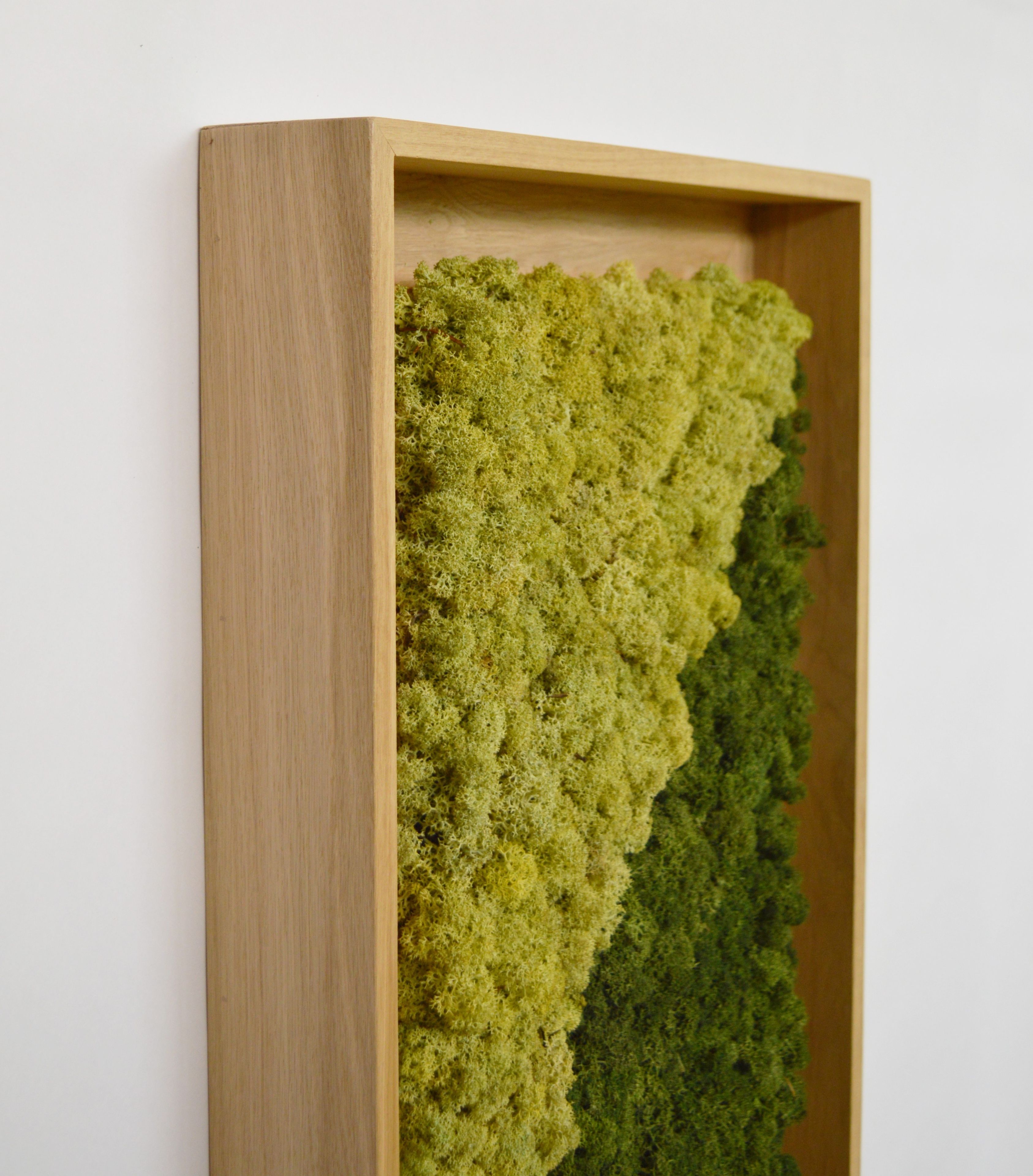 Акустическая панель из мха GREENMOOD FRAMED GEOMETRIC ARCH-00124960 - Вид №29