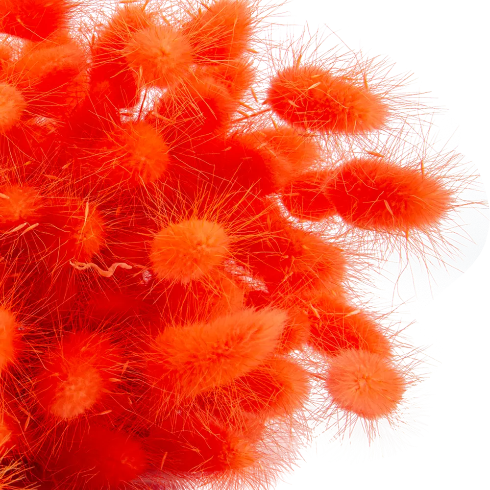 Букет из сухих цветов Лагурус микс 1 70 см Santreyd STLM-2132636 - Вид №1