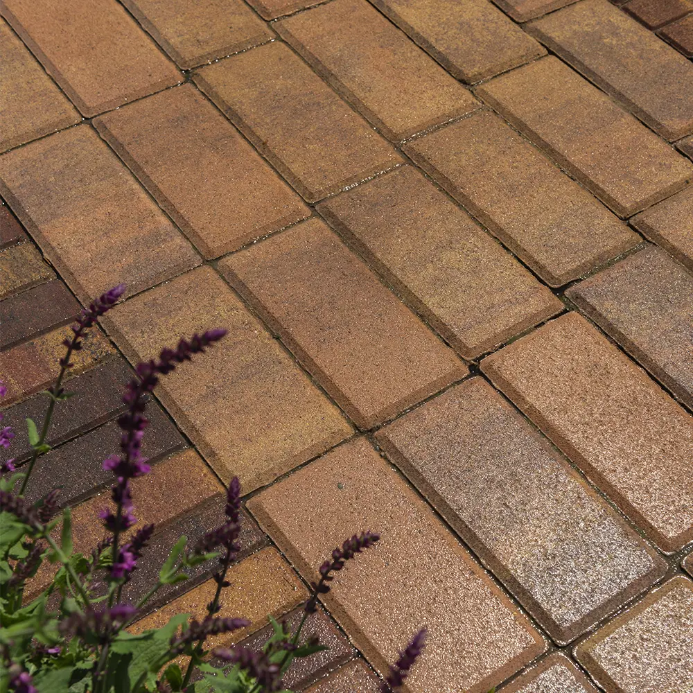 Плитка Тротуарная BRAER прямоугольник 200x100 мм цвет Прайд толщина 60 мм STLM-2015390 - Вид №5