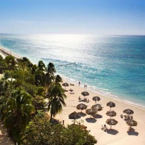 WP01353 Фотообои Verol Фотообои decoline 1х1 м