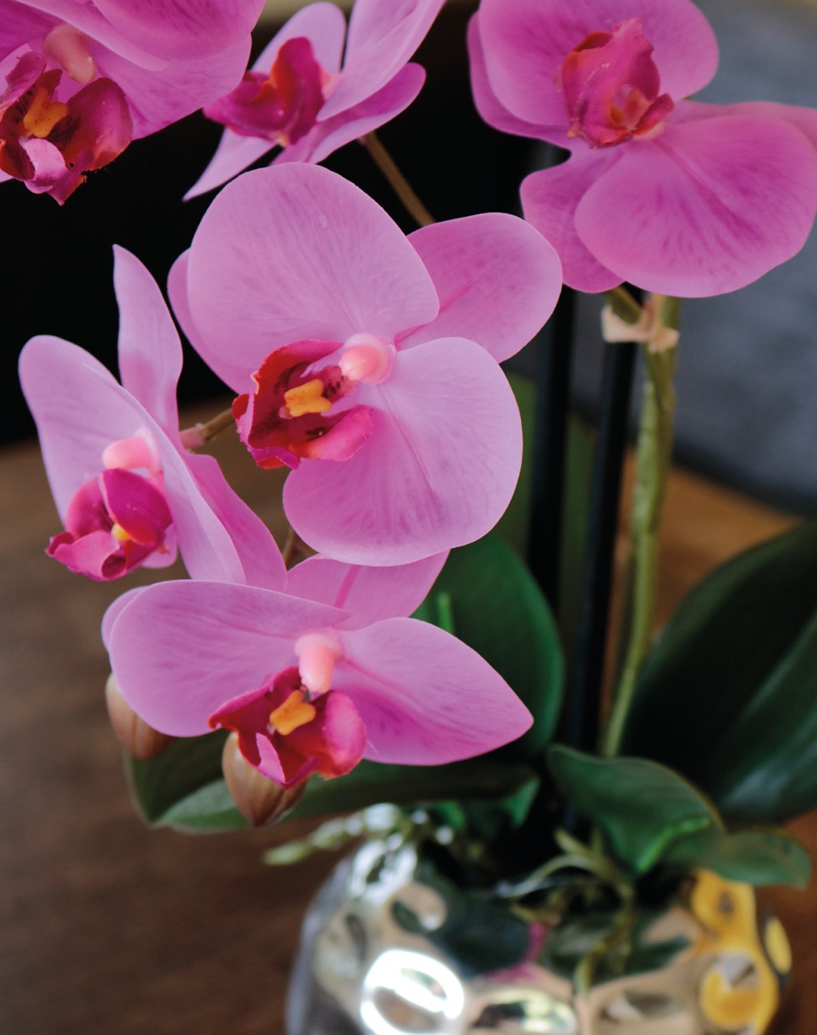 2772 420 a3 Пластиковая орхидея Phalaenopsis, 2-х кратная, горшечная, 45 см, real touch, вишня H-andreas  - Вид №6