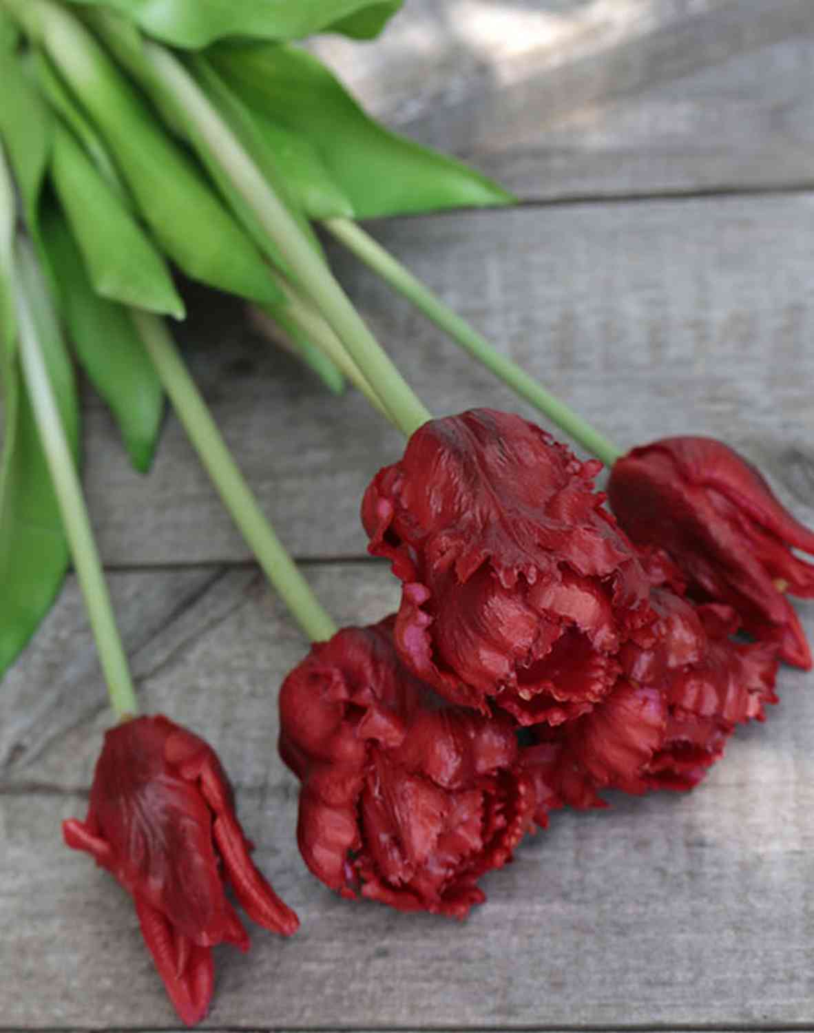 2951 444 a3 Искусственный попугай букет тюльпанов, 5-кратный, 47 см, красный H-andreas  - Вид №2