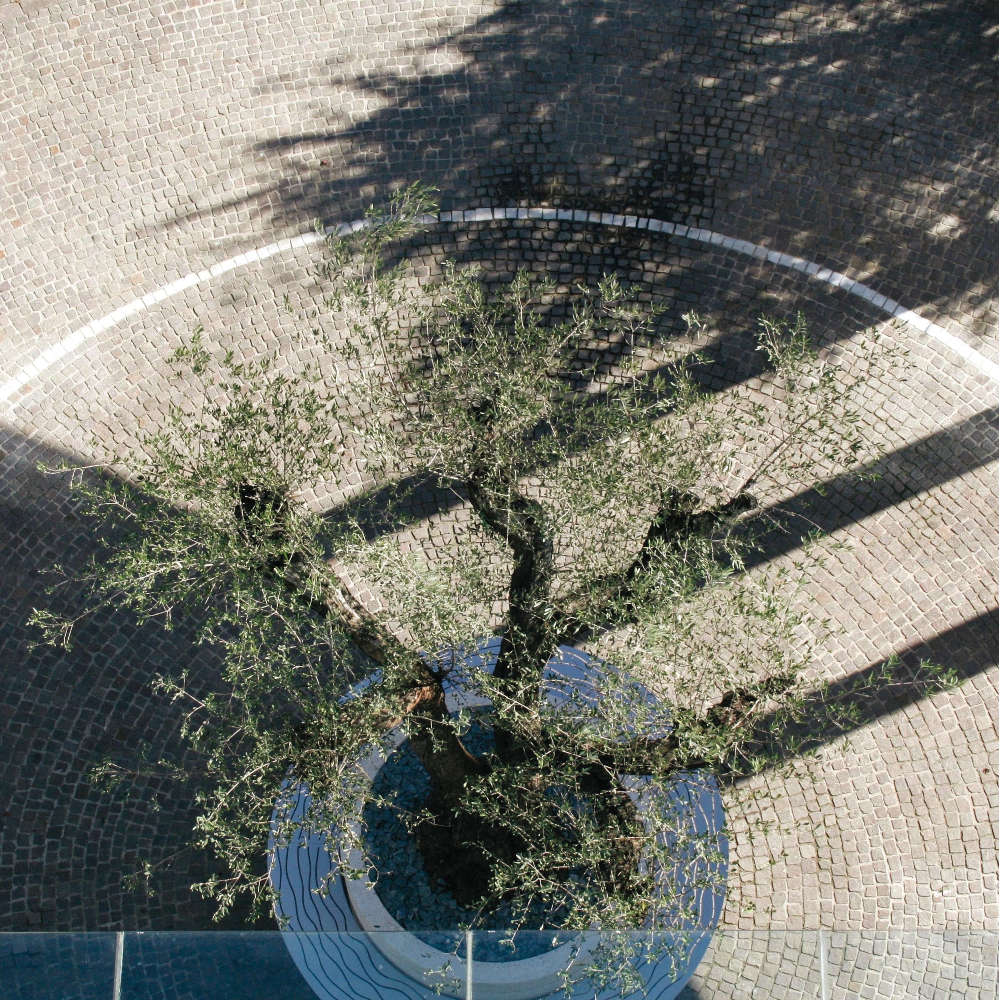 Реконструированный каменный плантатор Metalco Оникс ARCH-00026316 - Вид №6