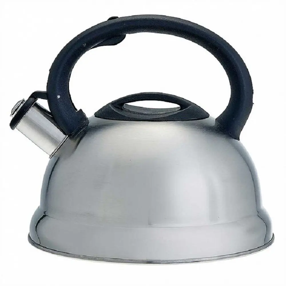 90610253 Чайник Webber BE-0547 2.7 л нержавеющая сталь цвет серебристый STLM-0874872