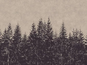 Architects Paper Обои с цифровой печатью с пейзажами Walls by patel