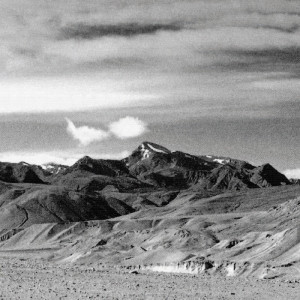 0111/CX38 Bottiglia Adriani e Rossi белый