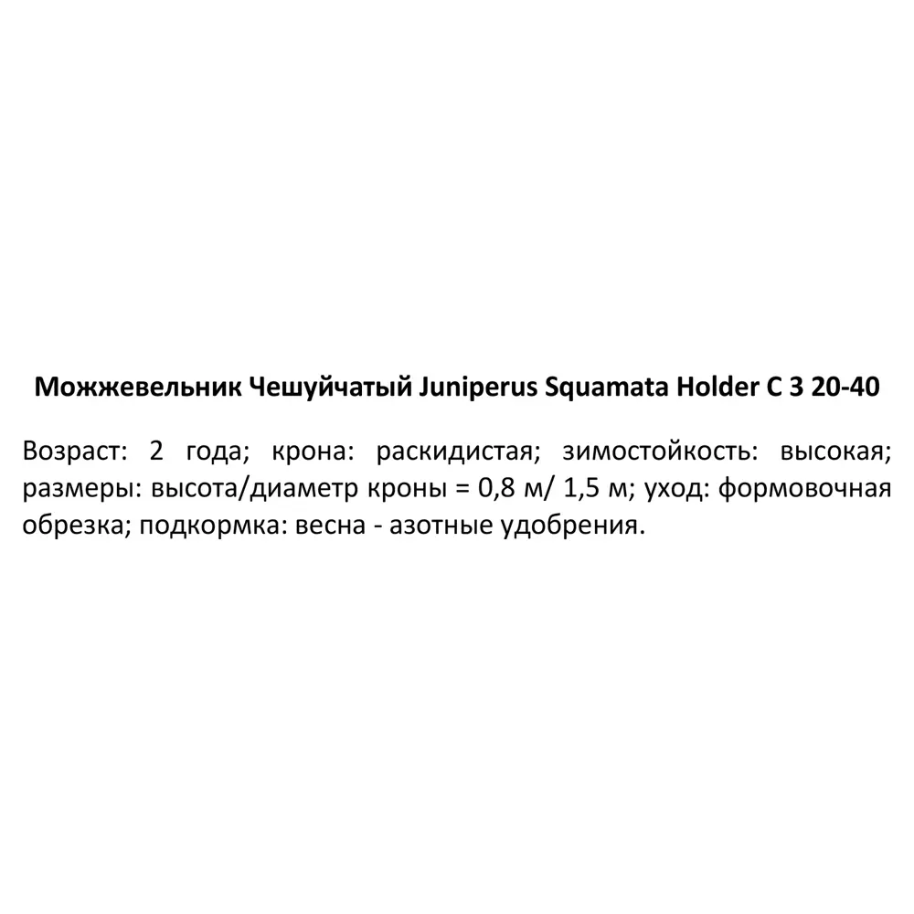 Можжевельник чешуйчатый Холгер ø19 h20-40 см PLANTMARKET STLM-2059362 - Вид №2
