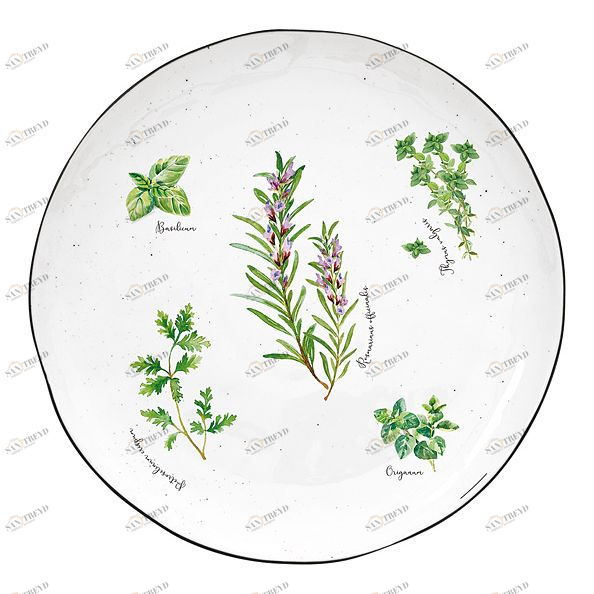 Тарелка фарфоровая обеденная белая Herbarium EASY LIFE HERBARIUM 00-3946735 Белый 