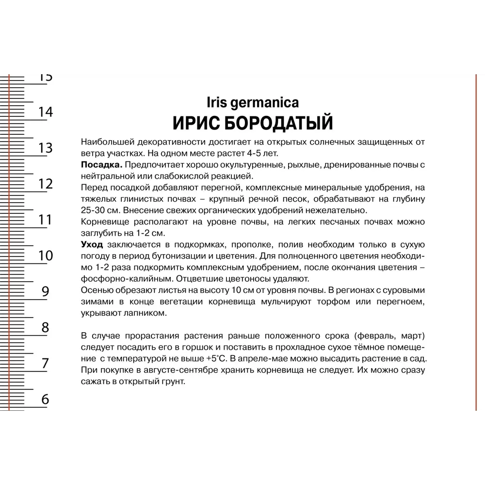 Ирис бородатый Альмаден - луковицы для яркого сада 89433485 ПОИСК STLM-1579334 - Вид №1