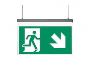 DST-2167 Vir-s Daisalux Светильники сигнальные Серебристо-Серый