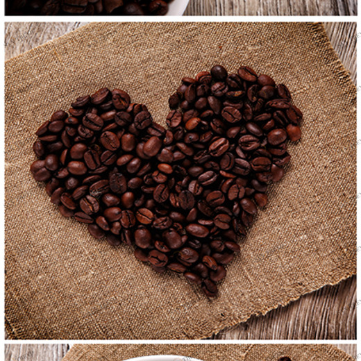 B1-032 Фотообои DIVINO Collection B 2.7х1 м B1032