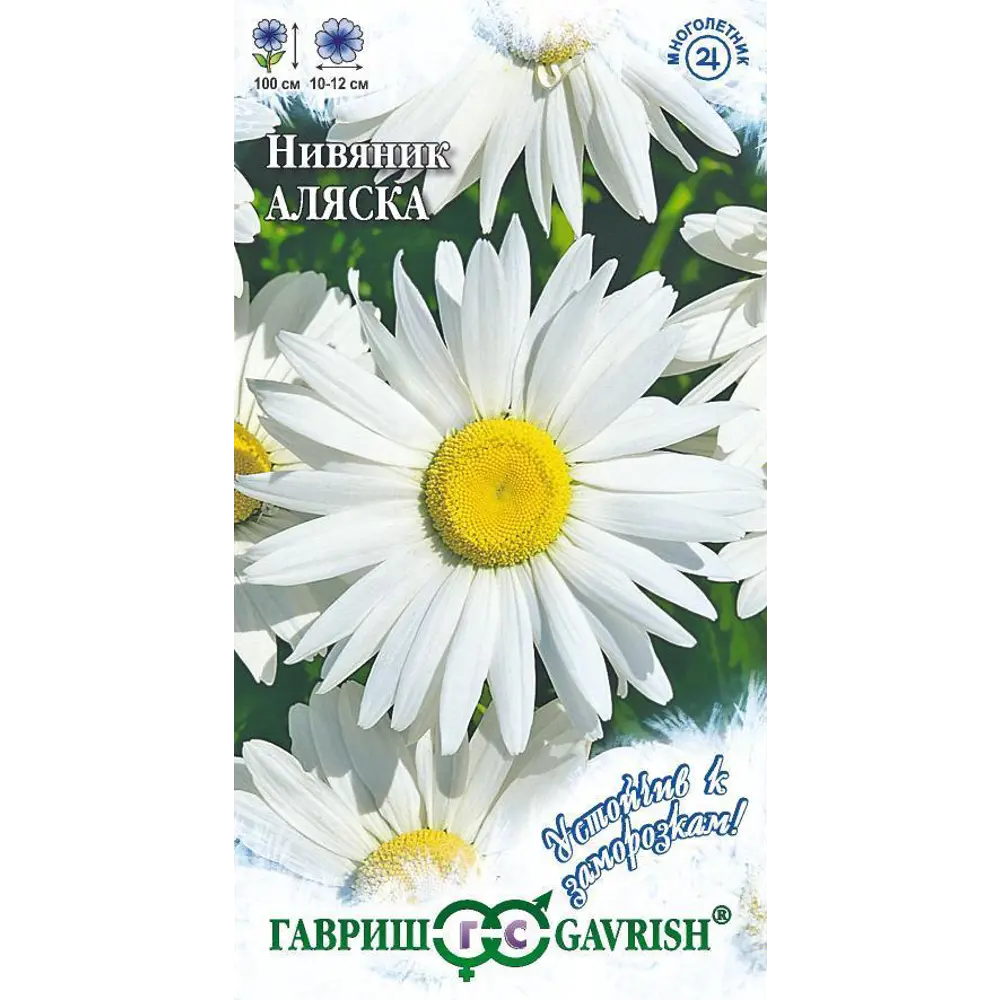Семена Нивяник Аляска ГАВРИШ STLM-2042104