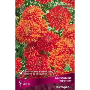 Хризантема корейская Пектораль 89408070 STLM-2155487