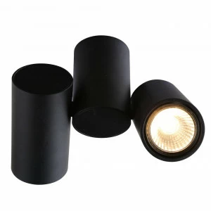 Потолочный светильник Divinare Gavroche 1354/04 PL-2 DIVINARE GAVROCHE 103088 Черный