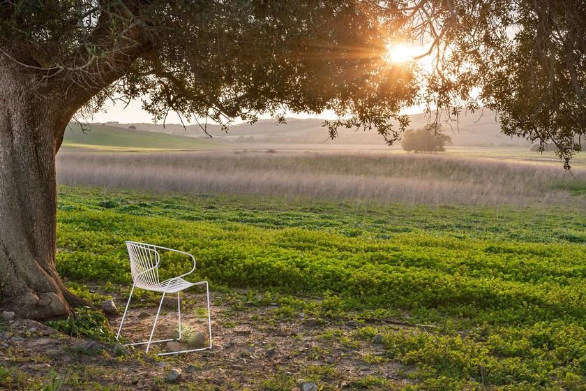 iSimar Стул с подлокотниками, штабелируемый на стальных салазках Bolonia 7207 - Вид №8