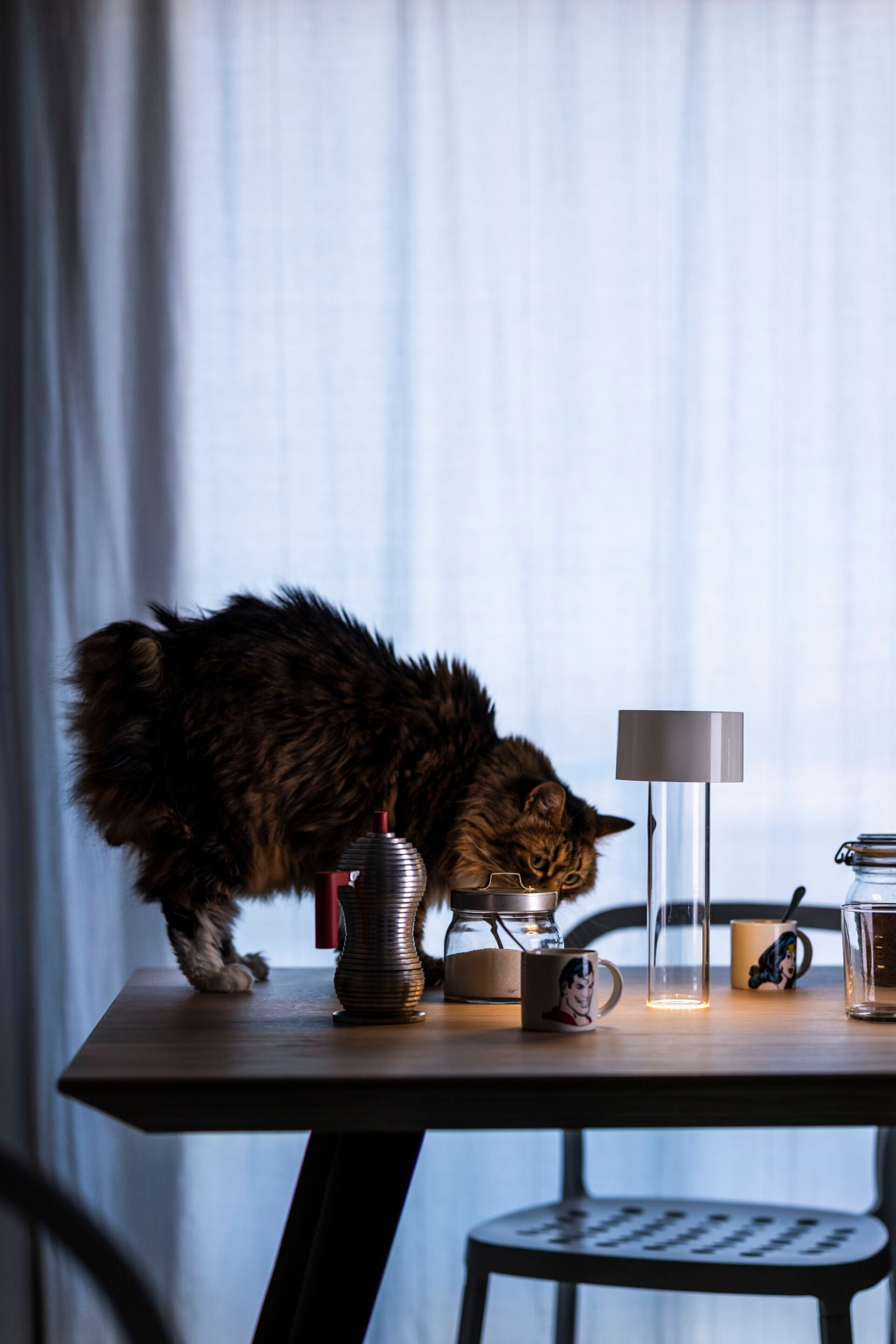 Настольная лампа из боросиликатного стекла и АБС Foscarini Fleur ARCH-00100288 - Вид №10