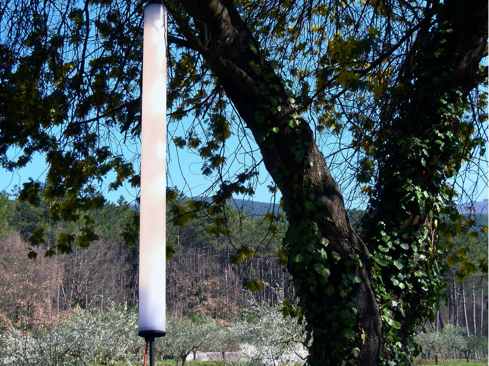 Открытый подвесной светильник из метакрилата Martinelli Luce Pistillo ARCH-00087308 - Вид №6