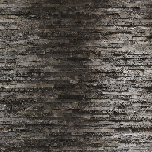 8-700-Birkenrinde Фотообои Komar Imagine Edition 2 254х368 м 8700BIRKENRINDE