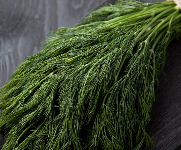 8510 Укроп 100г Вкусляндия  - Вид №1