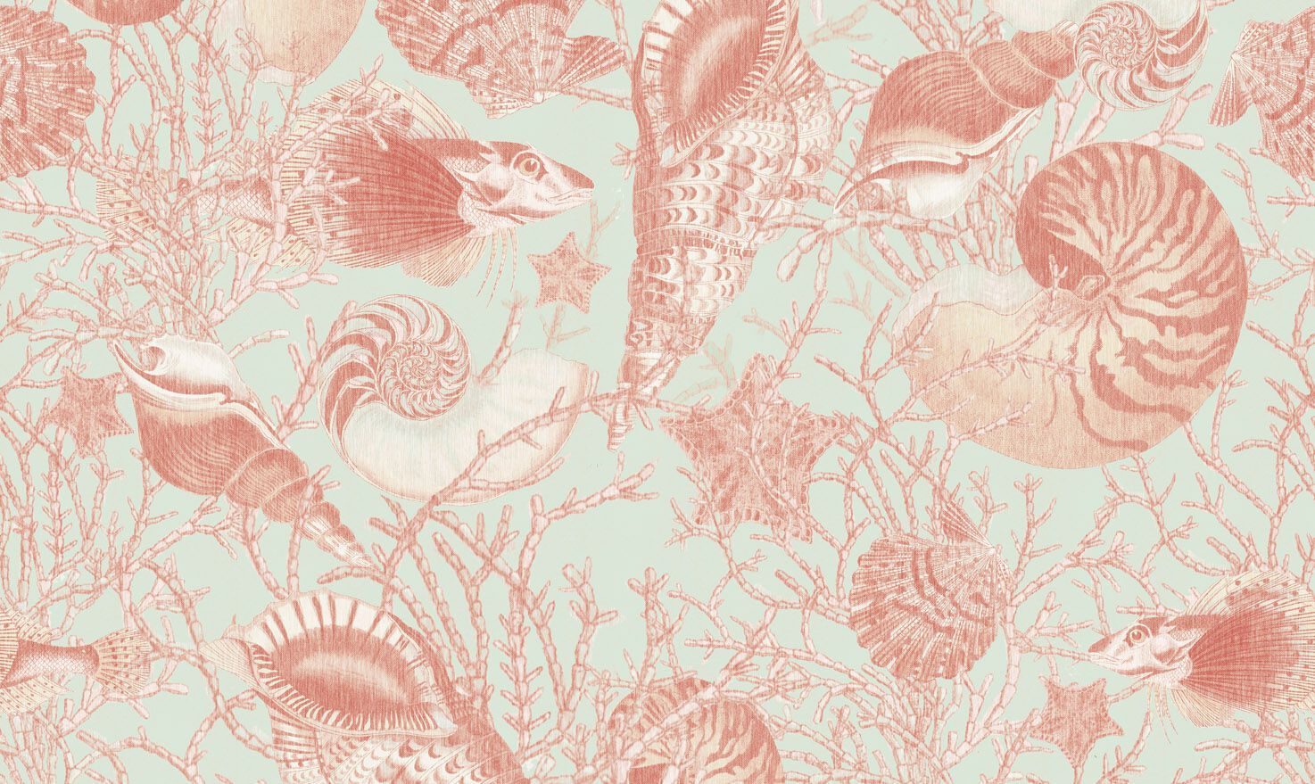 Обои с рисунком Jannelli&Volpi CONCHIGLIE ARCH-00130795 - Вид №3