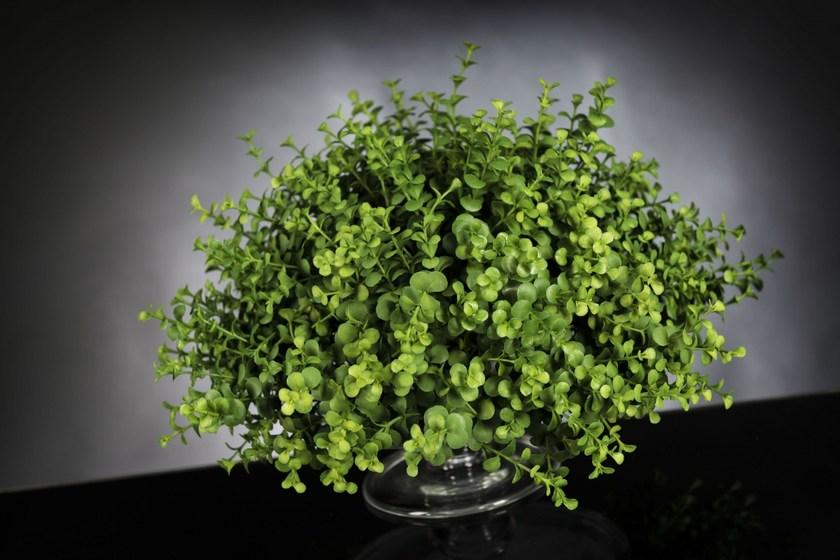 VGnewtrend Искусственное растение  1141967.60  - Вид №1