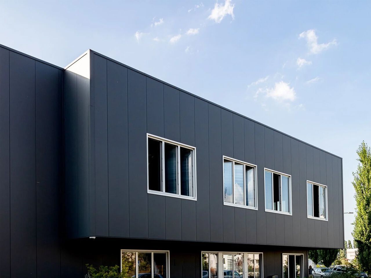 Панель с алмазным металлическим профилем ISOPAN DIAMOND ARCH-00121530 - Вид №2