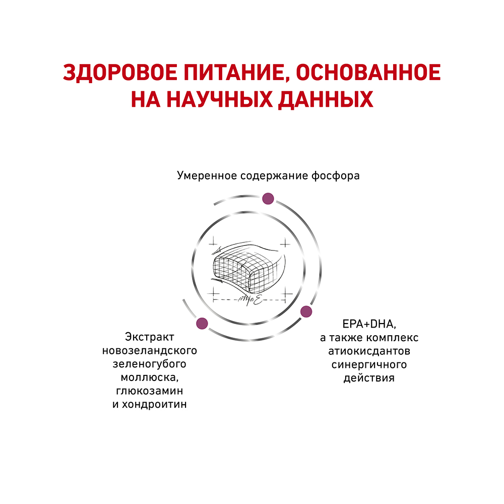 ПР0056146 Корм для кошек Vet Diet Early Renal при ранней стадии почечной недостаточности сух. 3,5кг ROYAL CANIN  - Вид №3