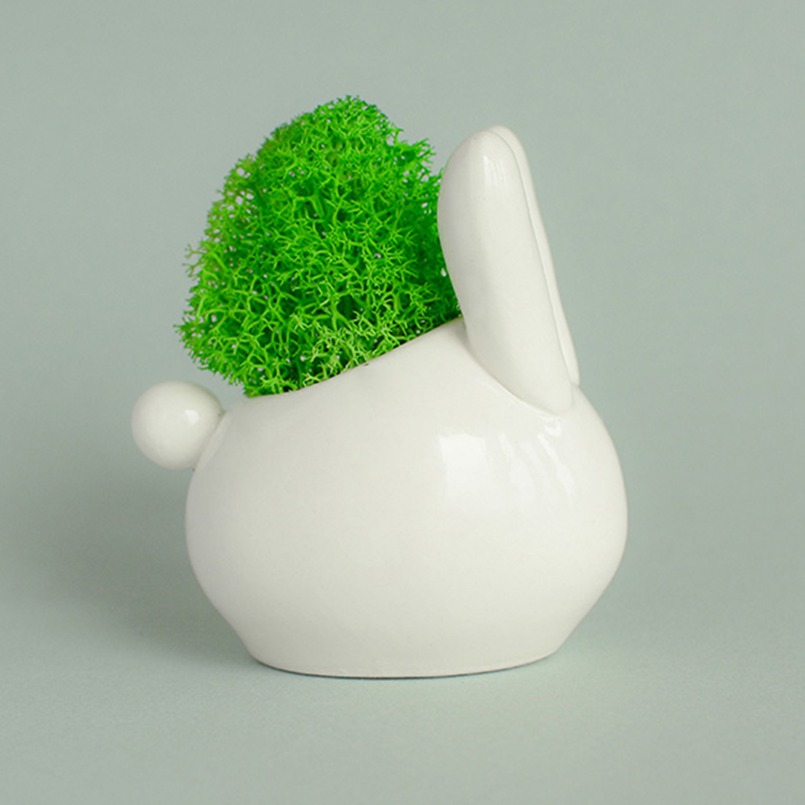 ECZ-1-01 Набор для выращивания eco "зайчик" Экочеловеки 