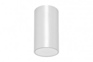 DST-57 Lens ceiling-mounted Daisalux Светильники аварийные Белый