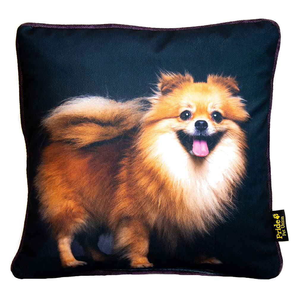 ПР0054081 Подушка декоративная "Шпиц" Pride 