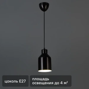 Светильник подвесной 21 Век-свет 1119/1 220-240В черный 85116223 STLM-2123943