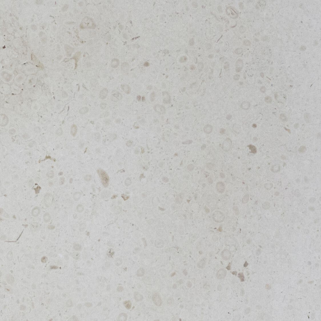 Мраморная крышка для клапанов COCOON Maison ARCH-00138976 - Вид №24